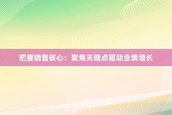 把握销售核心：聚焦关键点驱动业绩增长