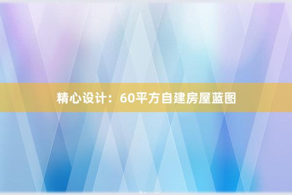 精心设计：60平方自建房屋蓝图